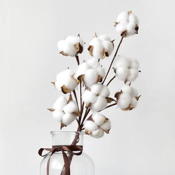 Naravno Sušene Bombaž Cvetje Belo Doma Umetne Dekorativne Cvetlični Veje Poročno Družico Šopek Dekor Ponaredek Beli Cvet