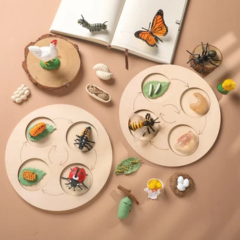 1Set Otroci Montessori Živali Življenjskega Cikla Odbor Insektov Figurice Metulj Čebel Življenjskega Cikla Plastičnih Safariology Bug Številke Igrača